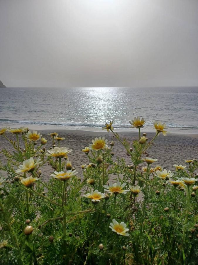 Near The Airport Kiriaki'S House Apartment Heraklion  ภายนอก รูปภาพ